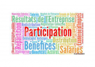 Participation 2023